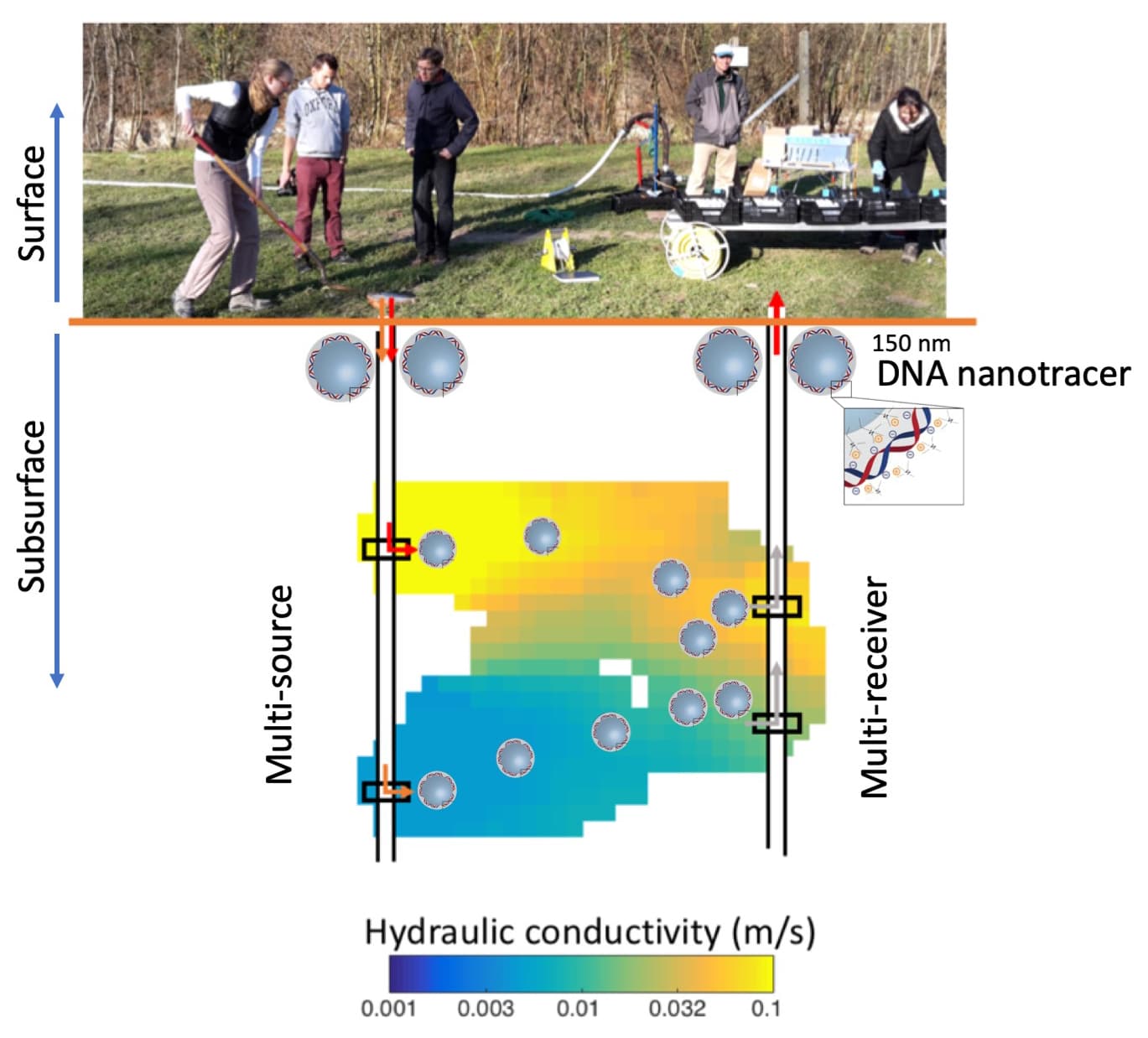 Tracer tomography with DNA nanotracers