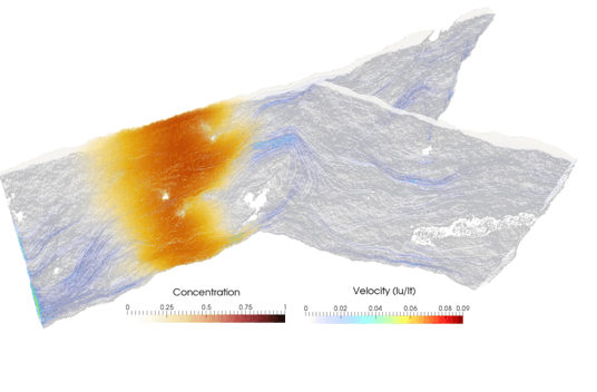 Solute transport simulation in bifurcated fracture